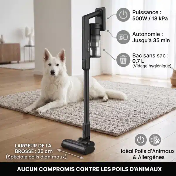 Dyceros Un chien blanc est assis sur un tapis avec l'Aspirateur balai sans fil Dyceros AS700 (500W, technologie cyclonique, brosse spéciale poils d'animaux), offrant 18kPa d'aspiration, 35 min d'autonomie, un bac de 0,7L et une brosse de 25cm pour un nettoyage facile.