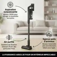 Dyceros L'aspirateur balai sans fil Dyceros AS700 (500W, technologie cyclonique) se dresse dans un salon, doté d'une brosse spéciale poils d'animaux et d'un système de filtration avancé pour un air purifié.